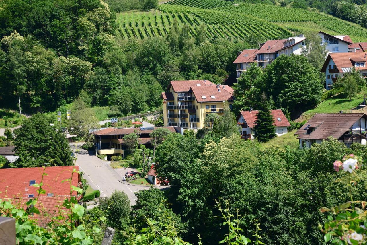 Residence Am Weinberg / Travellers Hotelbetriebs Gmbh ザスバッハヴァルデン エクステリア 写真