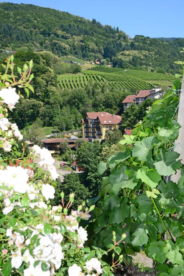 Residence Am Weinberg / Travellers Hotelbetriebs Gmbh ザスバッハヴァルデン エクステリア 写真